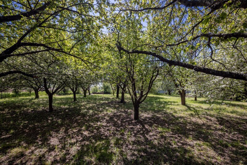 Stavební pozemek 880 m2, Lhota u Dolních Břežan, okres Praha - západ